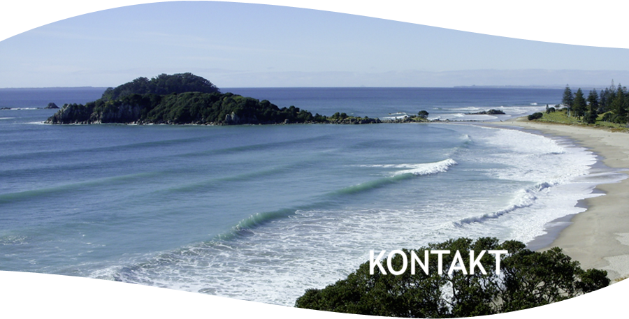 Kontakt mit wellsong®