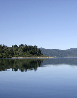 wellsong&reg; Gruppen